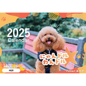 ラジオやメディアで大人気！犬猫アイドル「にゃんドル☆わんドル」が贈る…2025年版カレンダー発売決定！