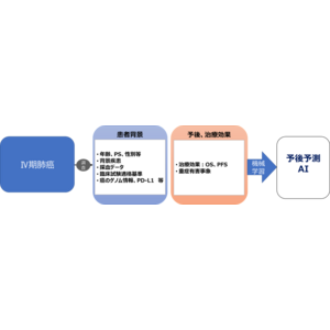ステージ４肺がんの症例データから予後を予測するAIモデルを構築