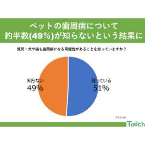 【Teech 歯科コラム】毎月12日はわんにゃんの日！ペットの歯周病について知っていますか？