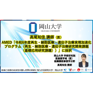 【岡山大学】高尾知佳講師（医）がAMED「令和6年度再生・細胞医療・遺伝子治療実現加速化プログラム（再生・細胞医療・遺伝子治療研究開発課題（基礎応用研究課題））」に採択