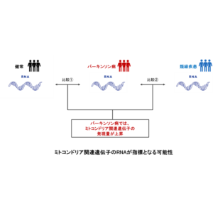 パーキンソン病患者に特異的な皮脂RNA情報の同定に成功