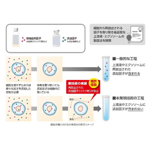 再生医療等製品及び上清液等における培地由来成分の極めて効率的な除去技術を開発