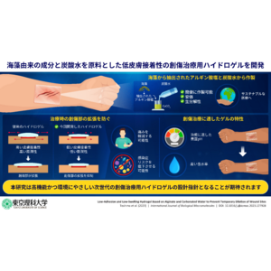 海岸に漂着した海藻の成分と炭酸水を用いて高機能な創傷治療用ゲルを開発