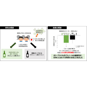 日本人におけるオリーブオイルポリフェノールの健康性が明らかに