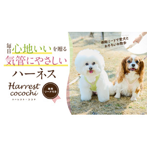 【Makuake553％達成！】気管を圧迫しないハーネス「アニサポハーレスト cocochi(ココチ)」の一般販売開始！