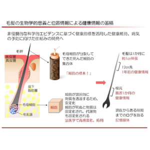 毛髪からの健康指標・健康検査に向けた毛髪成分の比較研究に関する論文が米国科学誌「PLOS ONE」に掲載