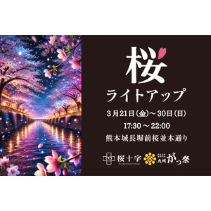 春の宵に癒しを灯す 熊本城「桜ライトアップ」