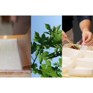 「和紙のふるさと」で、スーパーフードを食す！和紙の原料・楮を使った創作料理の試食イベントを開催