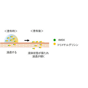 資生堂、美白有効成分4MSKの皮ふ浸透性を高める「4MSK/フリュイド浸透促進技術」を開発