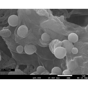 ナノリサーチ京都とAC Biode、幅広い用途の原料液を液滴化できる微粒子合成を開始