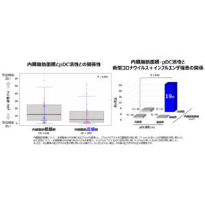 キリンと花王の共同研究で、内臓脂肪と免疫活性に関する日本初※１の発見