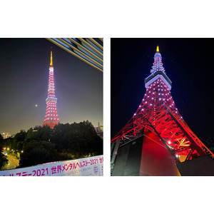 10月10日東京タワーがシルバーにライトアップ！シルバーリボン運動とは？