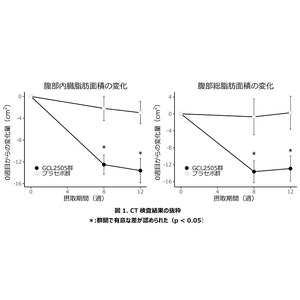 短鎖脂肪酸を多く生み出すビフィズス菌Bifidobacterium animalis subsp. lactis GCL2505とイヌリンによる「内臓脂肪、体脂肪の低減」効果を確認