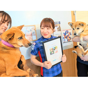ロコ・ソラーレ鈴木夕湖選手が世界のチャリティカレンダーを通じてピースワンコ・ジャパンの保護犬を支援