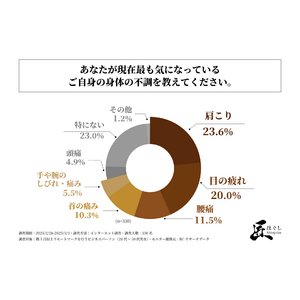 週3日以上リモートワークを行うビジネスパーソンの多くが、現在気になっている身体の不調は「肩こり」や「目の疲れ」！株式会社アプレックスが「リモートワーカーの健康意識と身体の不調」に関する実態調査を実施！