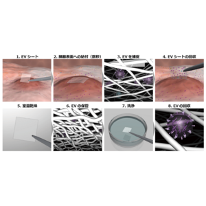 Craif 技術顧問・共同創業者 安井隆雄による研究成果発表：新素材セルロースナノファイバーを用いた「EVシート」による空間的エクソソーム解析