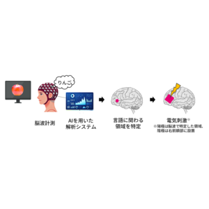 脳波信号で言語機能脳領域の個人差を推定