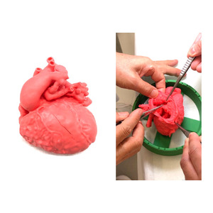 先天性心疾患の手術支援が可能な「軟質実物大3D心臓モデル」医療機器承認（クラスII） を取得