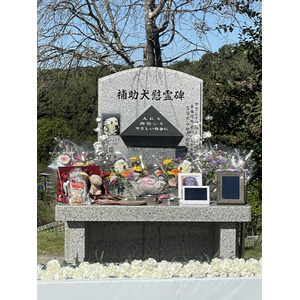 【亡くなった犬たちに感謝と追悼の想いを込めて】日本介助犬協会が慰霊祭を実施