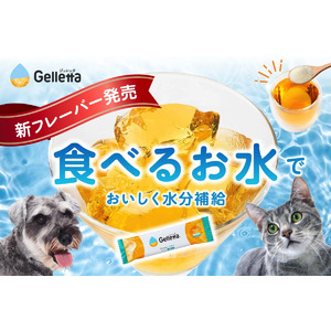 食物アレルギーを持つ犬猫のための新フレーバーを開発したい！ 水分補給に特化した犬猫用ゼリーの素「ジュレッタ」クラウドファンディング開始