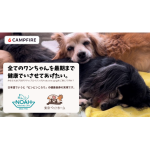 【100%達成】老犬の健康をサポートし、ピンピンころりを目指し寄り添うノア動物病院の挑戦