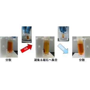 ＳＥＧＮＯＳ（セグノス）と地方独立行政法人東京都健康長寿医療センター 　高感度免疫診断技術（ThermaLISA（サーマライザ）法）を用いた早期アルツハイマー病スクリーニング検査法の共同研究を開始