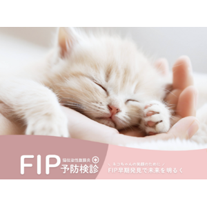 ペッツファーストグループ｜ペッツファースト動物病院にて「FIP（猫伝染性腹膜炎）予防検診」開始のお知らせ