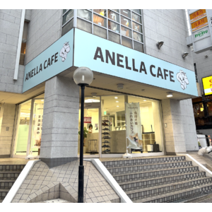 毎月1店舗オープンの快進撃！「保護犬猫ふれあいカフェ ANELLA CAFE」年始からわずか4ヶ月で新規4店舗を続々展開 - 関東・九州・近畿地方に "新しい家族"と出会う場を！