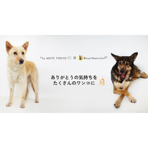 保護犬支援の新しいカタチ。シャンプー寄附とモデル撮影で結ぶ「ありがとう」プロジェクト開始