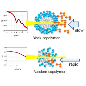 コポリマーミセルの構造と疎水性染料可溶化の相関性を解明 ～インクや薬の分散性、安定性の向上につながる重要な知見～