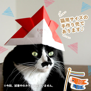 《tama》猫用サイズの「折り紙かぶと」プレゼント