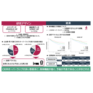 高齢心不全患者のリスク層別化におけるCKMオーバーラップが身体機能と長期予後に及ぼす影響の検討