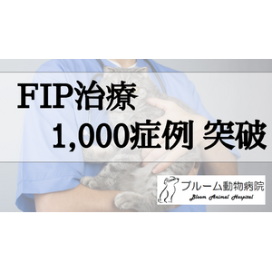 【ペット】猫FIPの症例数が1000を突破！横浜市鶴見区の動物病院の取り組みについて