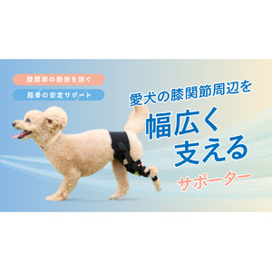 犬用膝サポーターでペットのQOL向上へ！株式会社anifull、オーダーメイドから進化した製品をMakuakeで先行販売開始