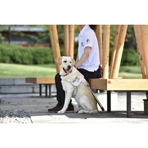 住友不動産ヴィラフォンテーヌは、日本盲導犬協会の法人賛助会員になりました　＝すべての“人”と“ワンちゃん”が共生できる社会づくりに貢献＝