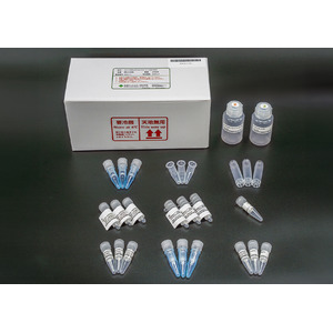 住友ベークライト　島津製作所製 自動前処理装置「MUP-3100」専用の抗体糖鎖調製キットを発売
