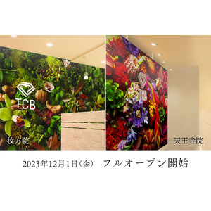 美容クリニック「TCB東京中央美容外科 枚方院・天王寺院」が12月1日（金）より、休診日がなくなりフルオープンになります