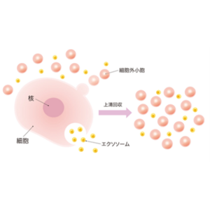 リプロセルとJTBが、再生医療グレードiPSエクソソームの提供を開始