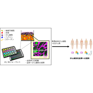 TOPPAＮホールディングス・大阪大学・がん研究会がん微小環境を体外で再現する3D細胞培養技術に関する論文が国際科学誌「Acta Biomaterialia」に掲載