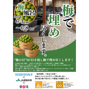 6月6日「梅の日」記念イベント開催！露天風呂が、梅で“埋め尽くされる”!?