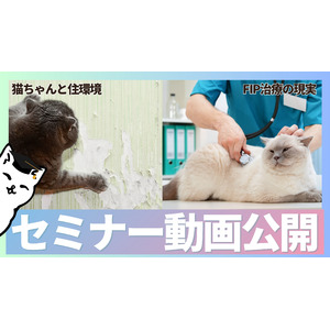 【セミナー動画公開】秋の猫イベントで開催された"猫ちゃんを知り尽くした専門家"の公演をYoutubeにて公開中