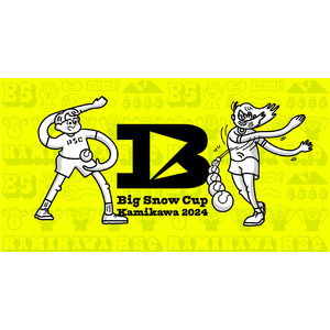 北海道上川町とミズノによるBaseball5「Big Snow Cup」初開催