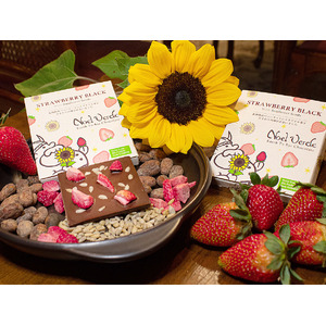 3年寝かせたカカオ豆に驚きの変化が！「ノエルベルデ」の新作チョコレートをいち早くお届け、応援サイト「マクアケ」にて先行販売を開始
