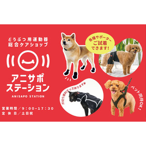 株式会社anifull、約200アイテムを取り揃えた動物用運動器総合ケアショップ「アニサポ ステーション」を2025年5月21日OPEN！
