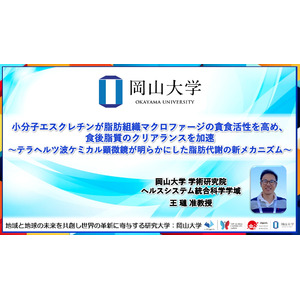 【岡山大学】小分子エスクレチンが脂肪組織マクロファージの貪食活性を高め、食後脂質のクリアランスを加速～テラヘルツ波ケミカル顕微鏡が明らかにした脂肪代謝の新メカニズム～