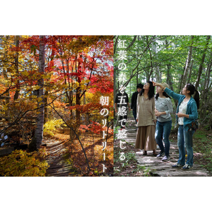 【山梨・八ヶ岳】標高1,360ｍ・ひと足早く紅葉に染まる森の庭で「朝のリトリート体験」を開催