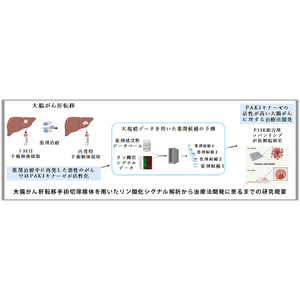 今まで根本的な治療法のなかった悪性度の高い大腸がん肝転移の新たな治療法開発に資する発見！