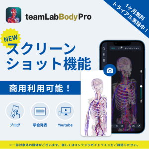 チームラボが開発した3D人体解剖学アプリ「teamLabBody Pro」の人体画像、動画が、商用利用可能に。スクリーンショット機能も追加。