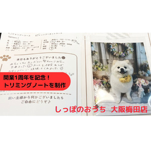 愛犬のための複合施設「しっぽのおうち」大阪梅田店開業一周年を記念して、「トリミングノート」を販売開始
