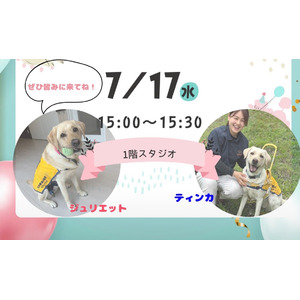 【関西発！】こども病院ファシリティドッグ候補犬のお披露目会を行います！！